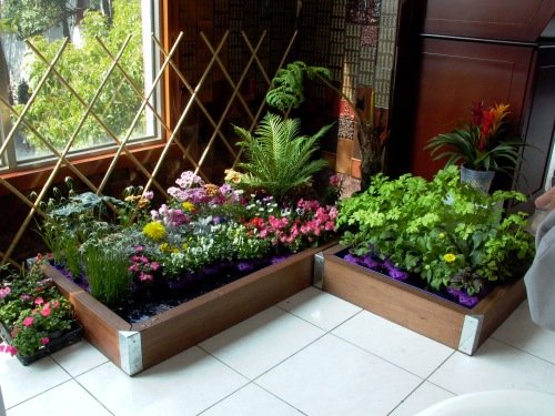 Backyard Food Forest: Grow Your Own Edible Para...