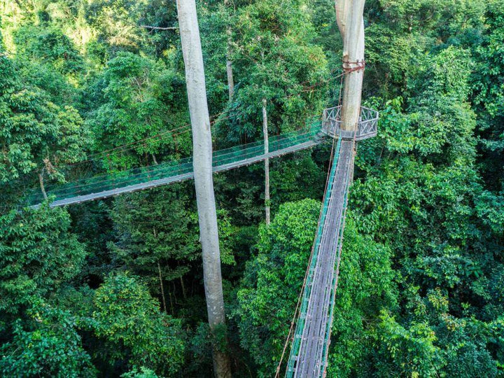 # Borneo: Reconnecting with Nature in the Heart of...