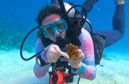Volunteers planting coral fragments in the Maldives