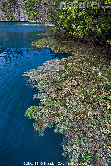 Raja Ampat Islands