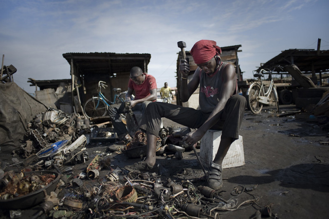 Shark Cage Diving Expedition