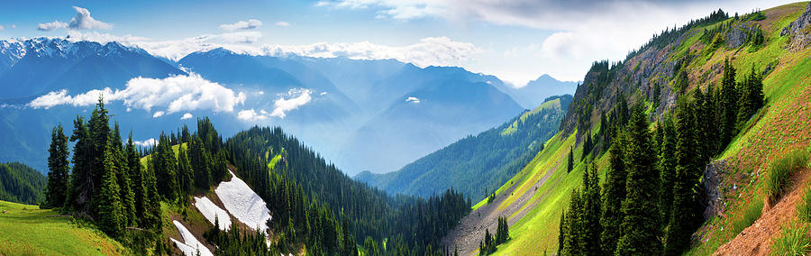 Hurricane Ridge