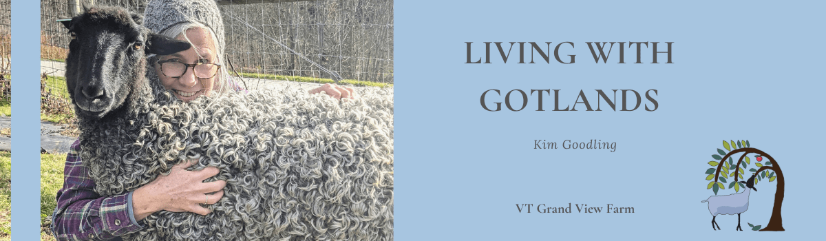 From Sheep to Shawl: Sourcing Local Wool for Susta...