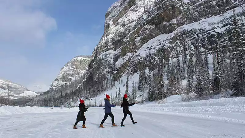 # Unleash Your Inner Powder Hound: Discover The Ca...