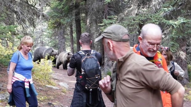 Great Divide Trail, Canadian Rockies, Banff National Park