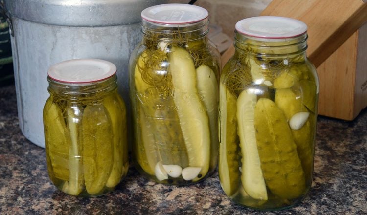 Autumn's Bounty: From Garden to Jar - Simple Pi...