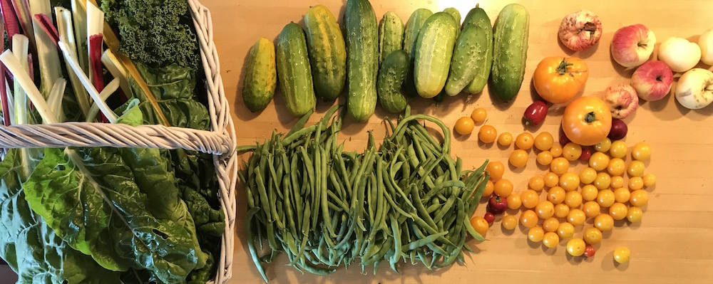Autumn Abundance: Preserving Your Late-Season H...