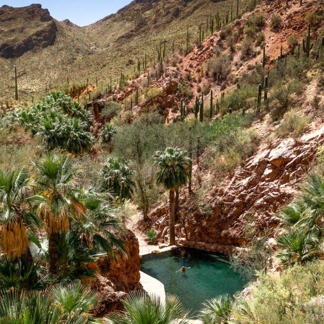 People digging hot pools at Hot Water Beach