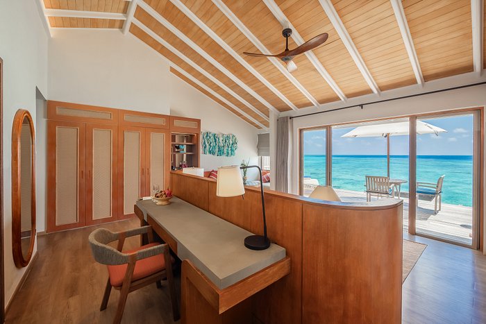 Palm Trees on a Tropical Beach