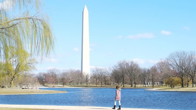 James Flamingos Laguna Colorada