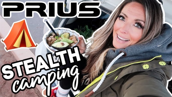 # Dust Devils and Dark Skies: A Solo Camper's Arch...