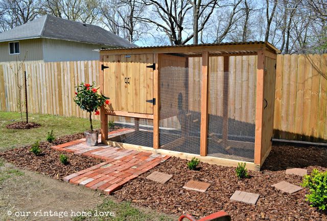 A child feeding chickens in a backyard coop