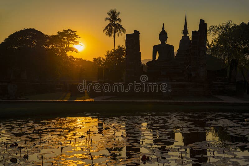 NapPark Hostel Dorm Room