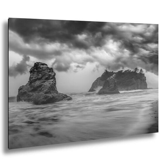 Hall of Mosses Trail in Olympic National Park with light filtering through the trees