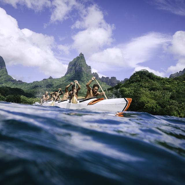 Fresh, organic produce is grown on-site at The Brando's garden, contributing to the resort's sustainable dining practices.