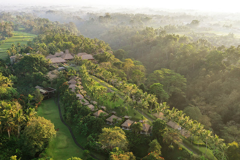Rooftop infinity pool overlooking the jungle canopy at Hotel Esencia