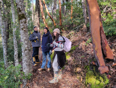 # Lost Coast Trail Backpacking: An Epic Camping Ad...