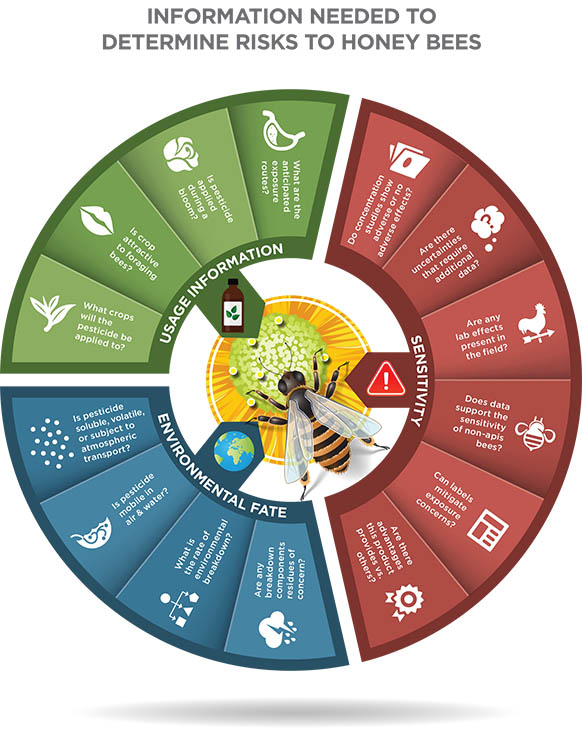 Beyond the Buzz: Cultivating a Pollinator Sanct...