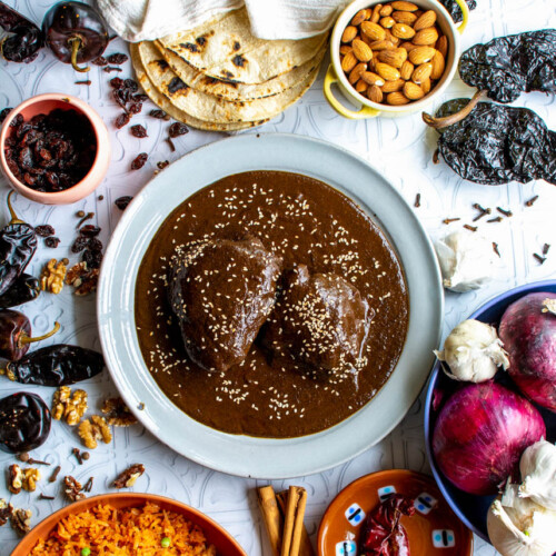 A plate of beautifully plated Mole Negro, highlighting the rich, dark color and the accompanying garnishes.