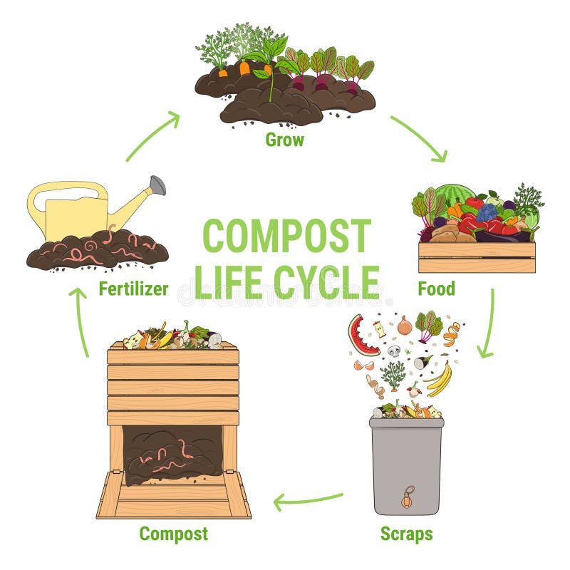 composting diagram green and brown layers