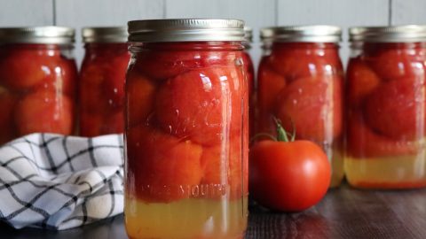 Canning tomatoes