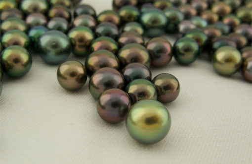 Snorkelling with reef sharks in the crystal clear waters of Fiji, surrounded by vibrant coral reefs