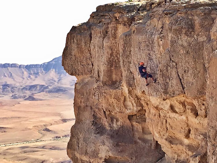 An Arabian Oryx in its natural habitat