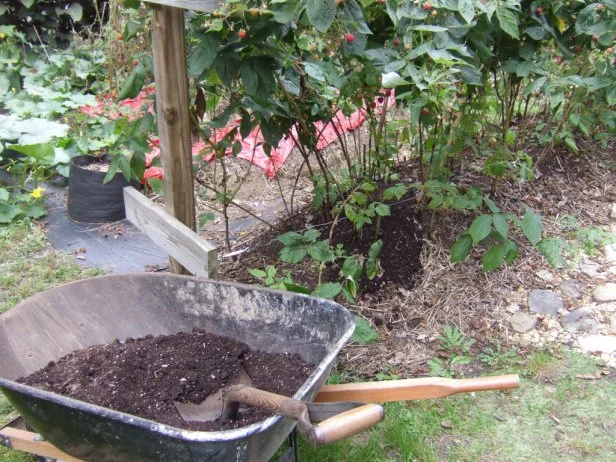 finished compost