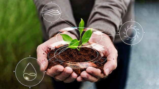 A hand planting a seedling in soil, representing sustainable and regenerative agriculture practices.