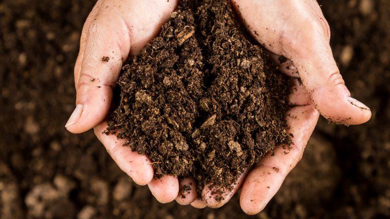 Regenerative Composting: Build Healthy Soil & a...