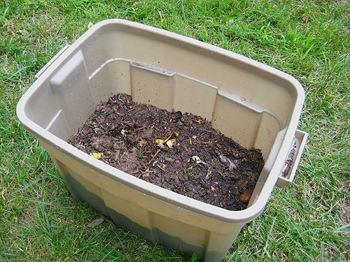 Finished compost bin in a garden setting, with compost visible inside