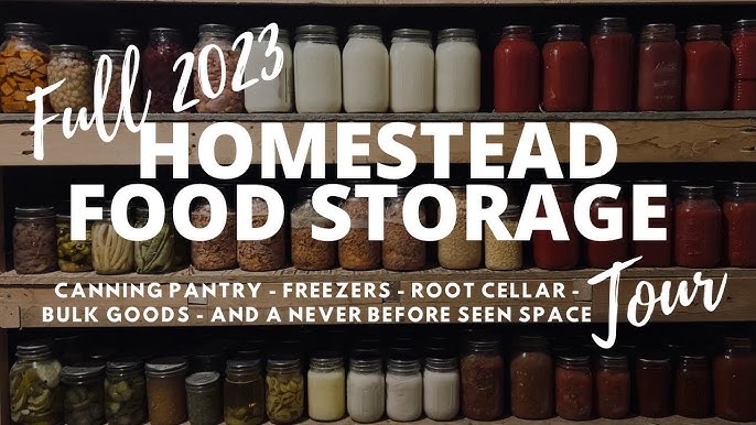 organized pantry jars shelves homestead