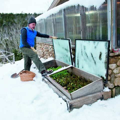 Cold Frame in Winter