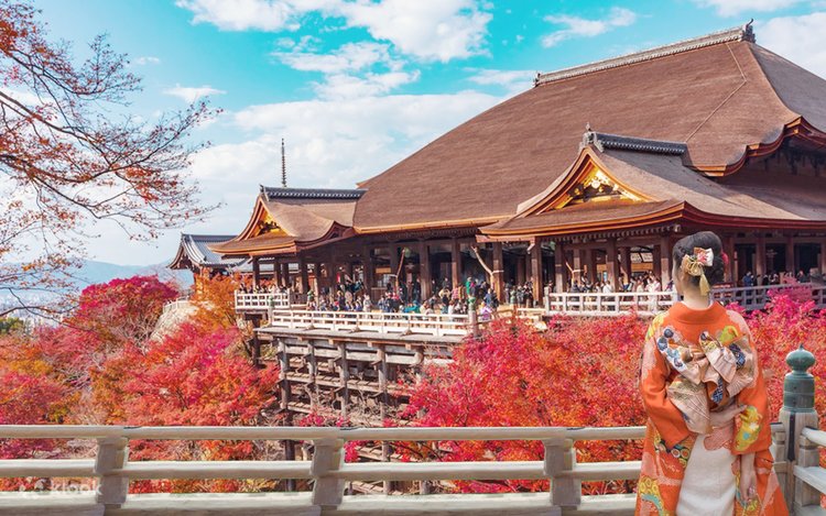 Arashiyama Bamboo Grove