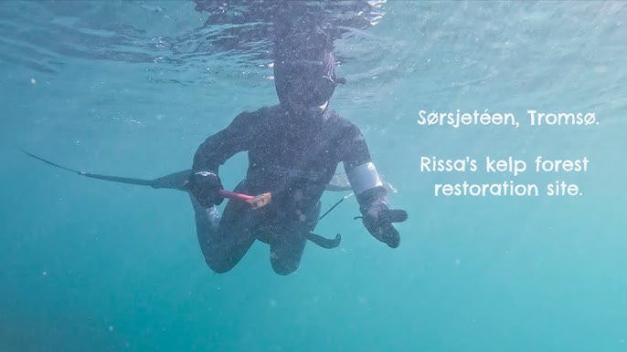 Palos Verdes Peninsula, California (Abalone Cove Shoreline Park)