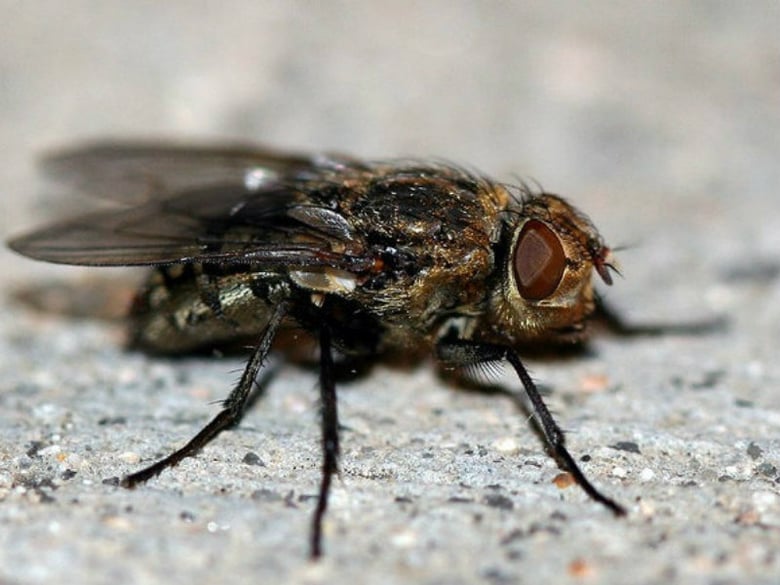 Screenshot of Hi-Fi Rush - Botched Rhythm Action