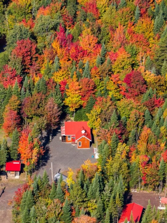 Autumn Trees and Cabin