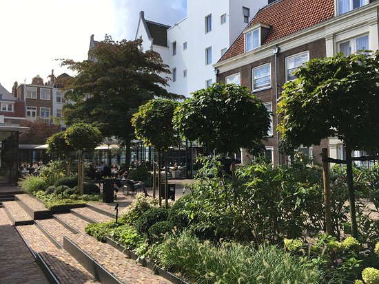 Amsterdam Canal View