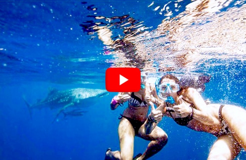 # Unplugged Paradise: Our Family's Private Island...