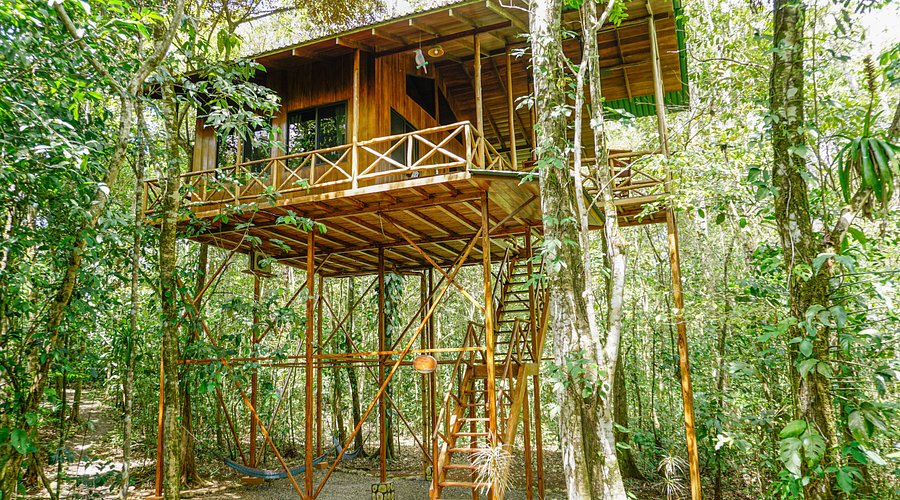 # Escape to Paradise: A Biologist's Review of the...