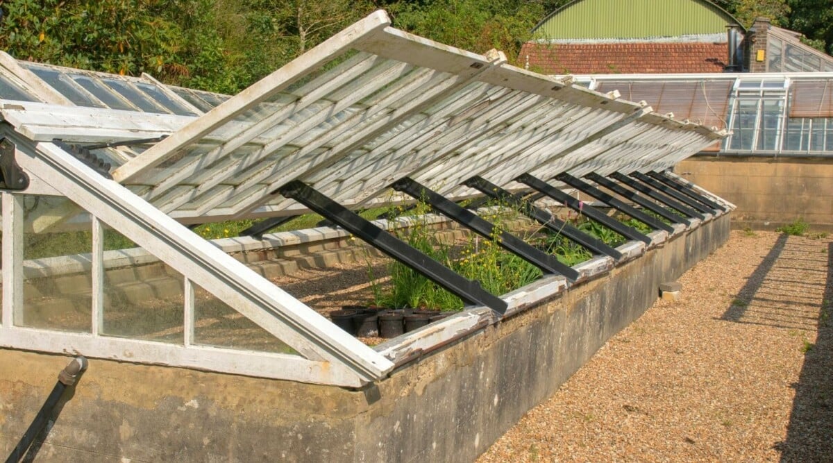 Extending the Harvest: Your Guide to Cold Frame...