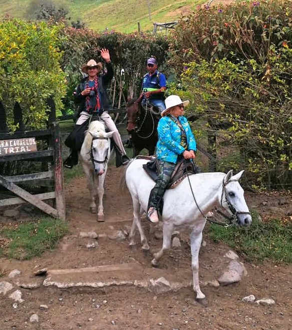Salento Colombia Landscape