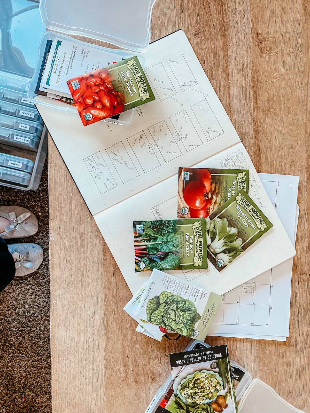 Open seed journal with dried flowers