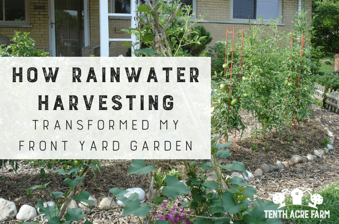 Rainwater Harvesting Garden