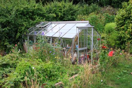 Unlock Homesteading Mastery: Building a Low-Cos...