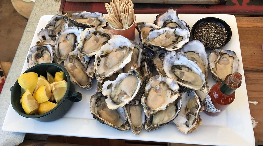 Tasmanian Devil at Trowunna Wildlife Park