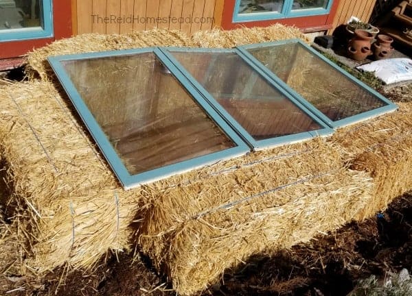 Sun-Kissed Greens: Build a DIY Cold Frame with R...