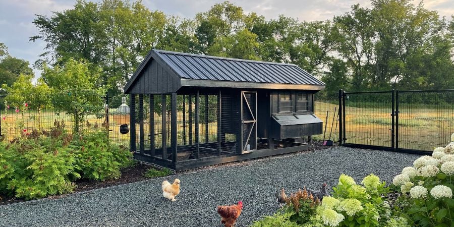 Crafting a Sustainable Homestead: Building a Bac...