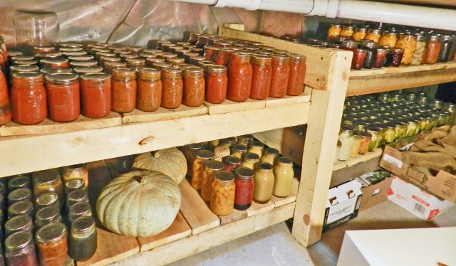 Bundles of dried herbs hanging in a kitchen, creating a rustic and aromatic atmosphere.