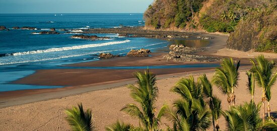 secluded palm fringed white sand beach